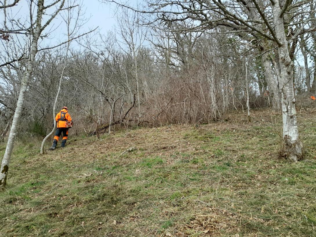 un élève en plein travail de débroussaillement